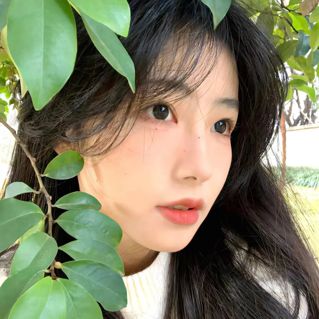 红色天网